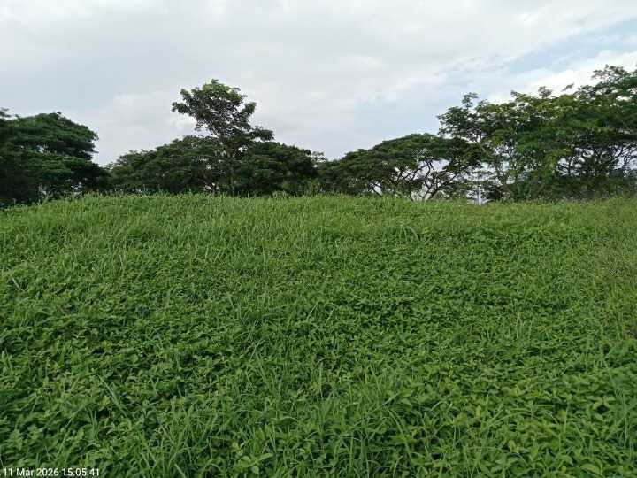 Dijual Tanah Kavling Golf View Strategis di Bukit Golf Citraland Surabaya Barat - Image 1