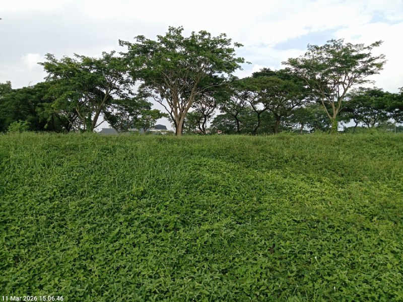 Dijual Tanah Golf View Luas Strategis di Bukit Golf Citraland Surabaya Barat - Image 1
