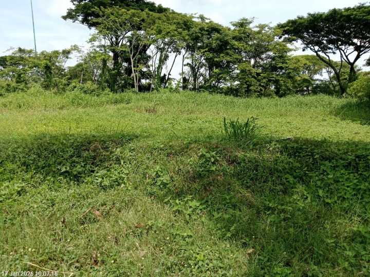 Dijual Tanah Strategis di Bukit Golf International Citraland Surabaya Barat - Image 1