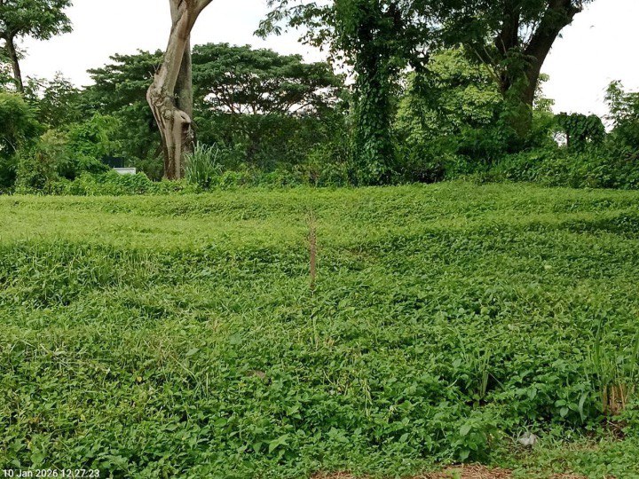 Dijual Tanah Golf Strategis di Citraland Bukit Golf Surabaya Barat - Image 1