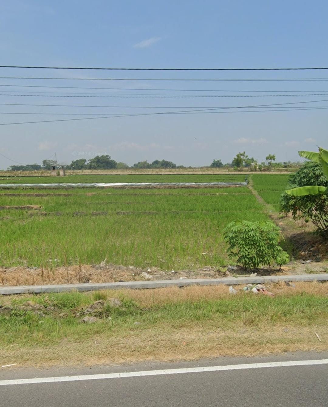 Dijual Tanah Strategis di Raya Ngawi Caruban Jawa Timur - Image 1