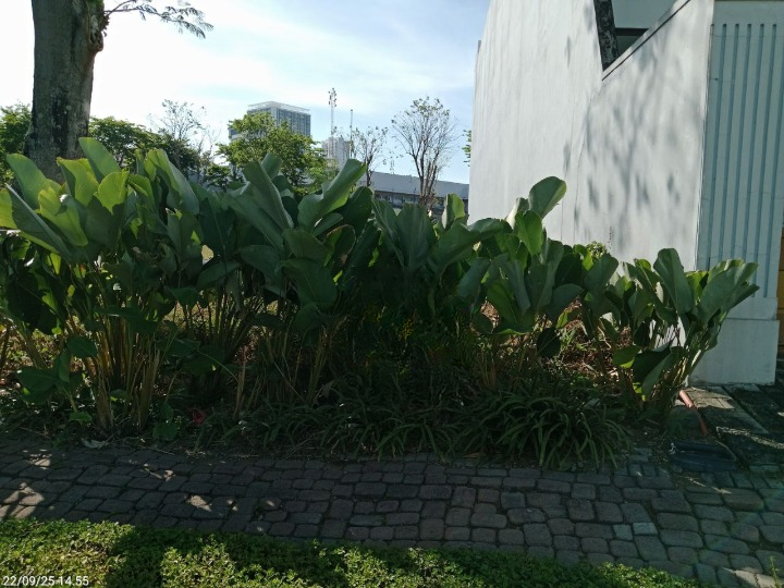 Dijual Tanah Premium Strategis di Raya Bukit Golf Citraland Surabaya Barat - Image 1