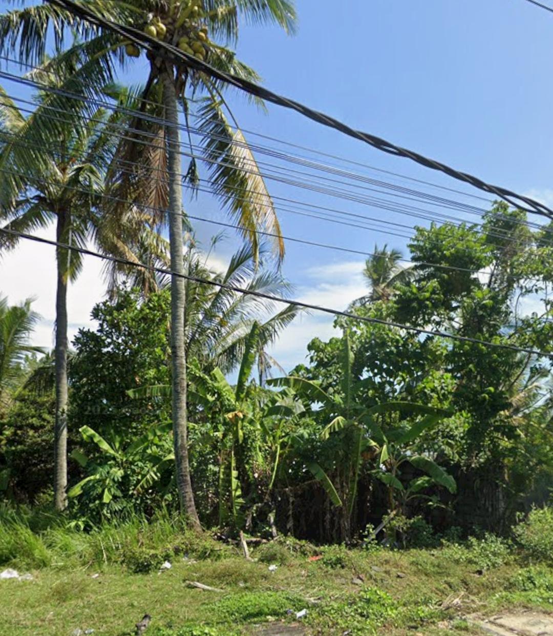 Dijual Lahan Raya Denpasar Gilimanuk Lokasi Strategis Bali - Image 1