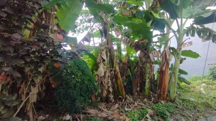 Dijual Tanah Strategis Lokasi Semampir Tengah Surabaya Timur - Image 1