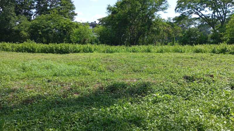 Dijual Tanah Strategis di Bukit Golf Internasional Citraland Surabaya Barat - Image 1