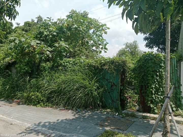 Disewakan Tanah Luas di Kawasan Babat Jerawat Surabaya Barat - Image 1