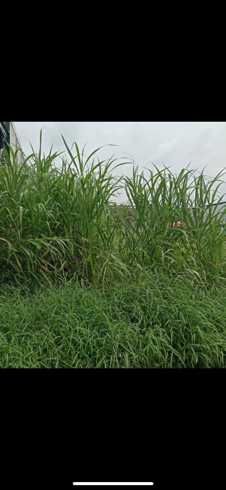 Dijual Tanah Luas Posisi Hook di Citra Harmoni Sidoarjo - Image 1