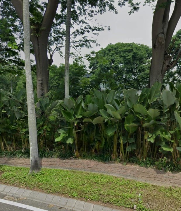 Dijual Kavling Premium Raya Bukit Golf Lokasi Istimewa Citraland Surabaya Barat - Image 1