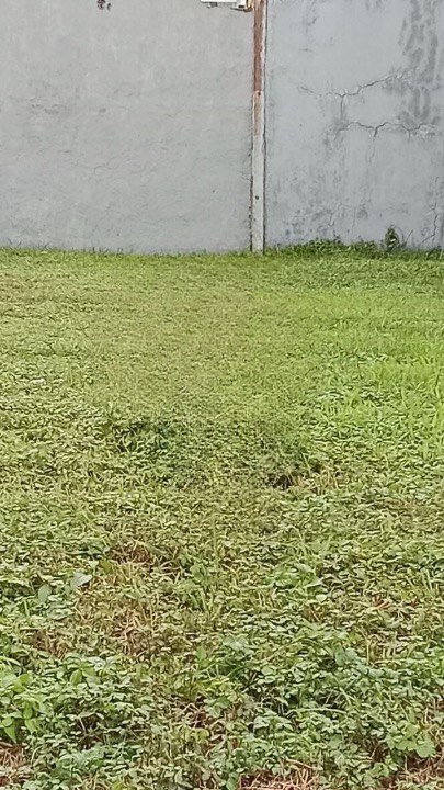 Dijual Kavling Tusuk Sate Royal Park Lokasi Premium Strategis Citraland Surabaya Barat - Image 1