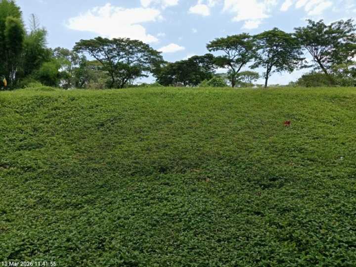 Dijual Tanah Premium Luas di Bukit Golf International Citraland Surabaya Barat - Image 1