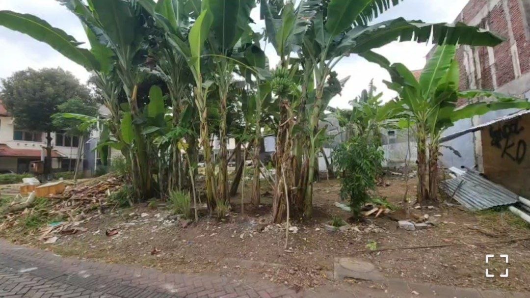 Disewakan Tanah Lokasi Strategis Puri Widya Kencana Citraland Surabaya Barat - Image 1