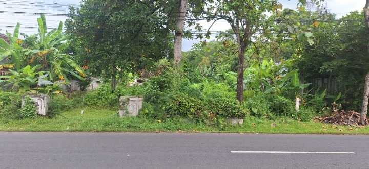 Jual Tanah Strategis Jalan Dusun Nglembu Trenggalek - Image 1