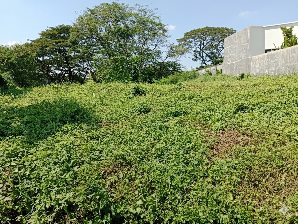 Dijual Tanah Kavling Premium Luas Strategis di Kawasan Puncak Golf View Citraland Surabaya Barat - Thumbnail 2