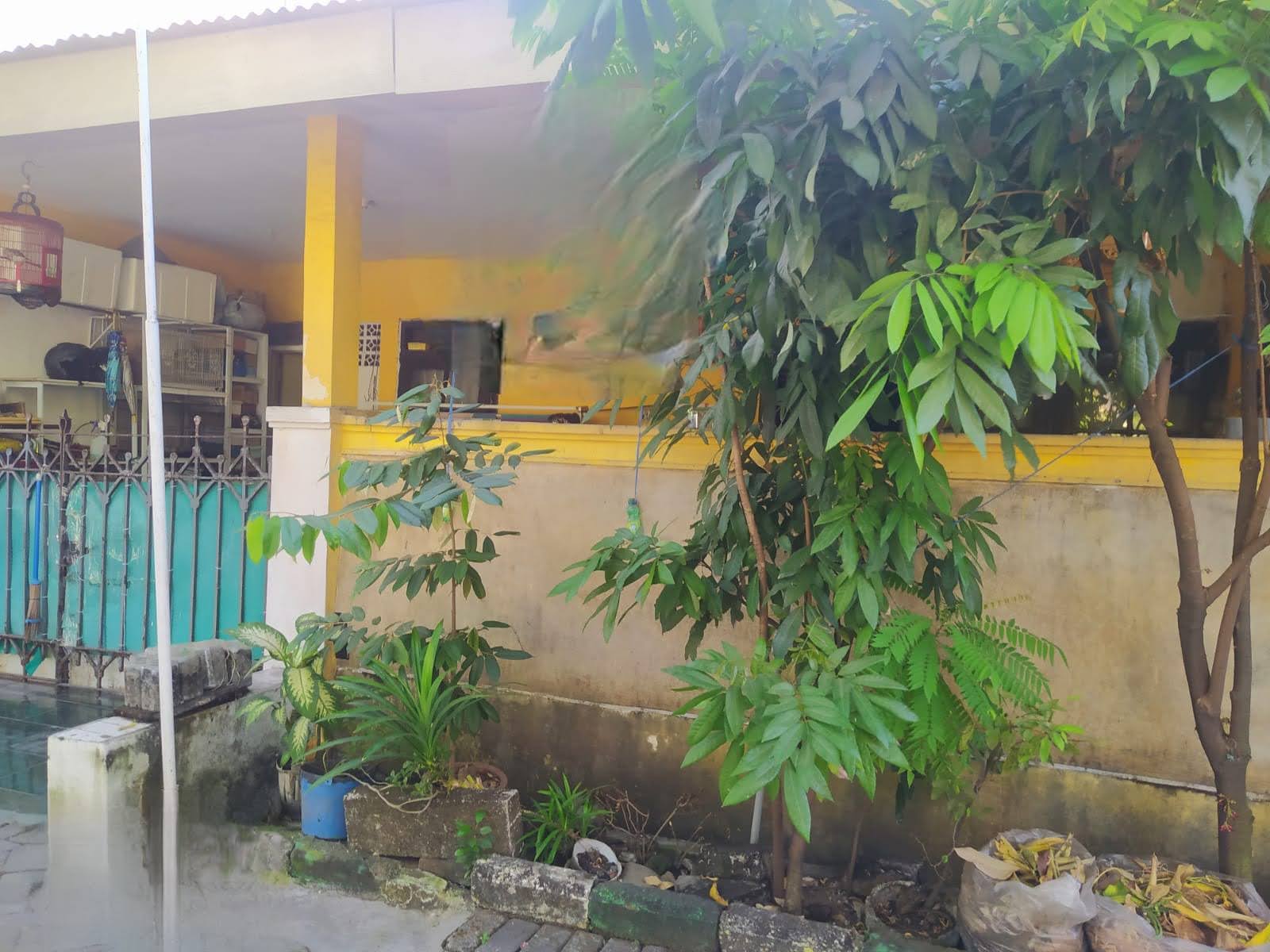 Dijual Rumah Siap Huni di Kawasan Babatan Indah, Wiyung Surabaya Barat - Image 1