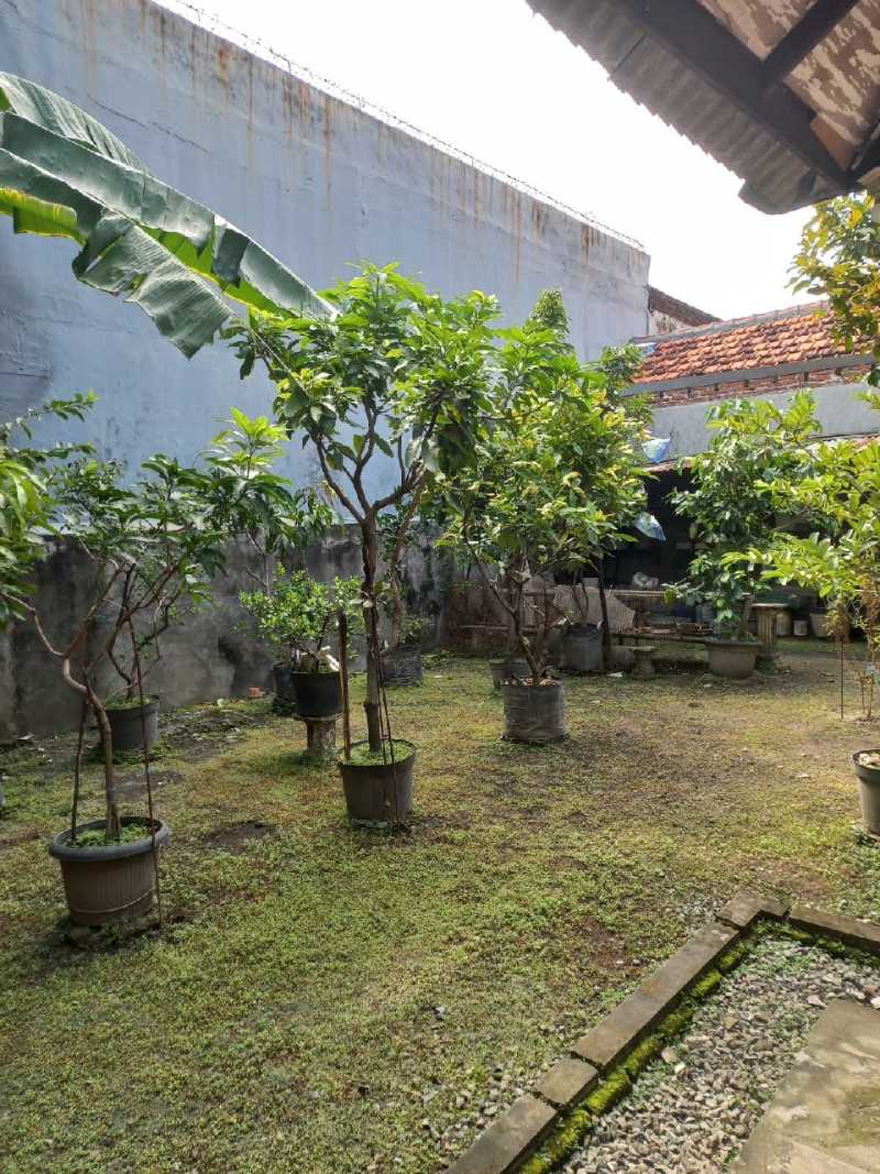 Dijual Rumah Kos Aktif 1 Lantai di Kawasan Medokan Ayu Surabaya Timur - Thumbnail 2