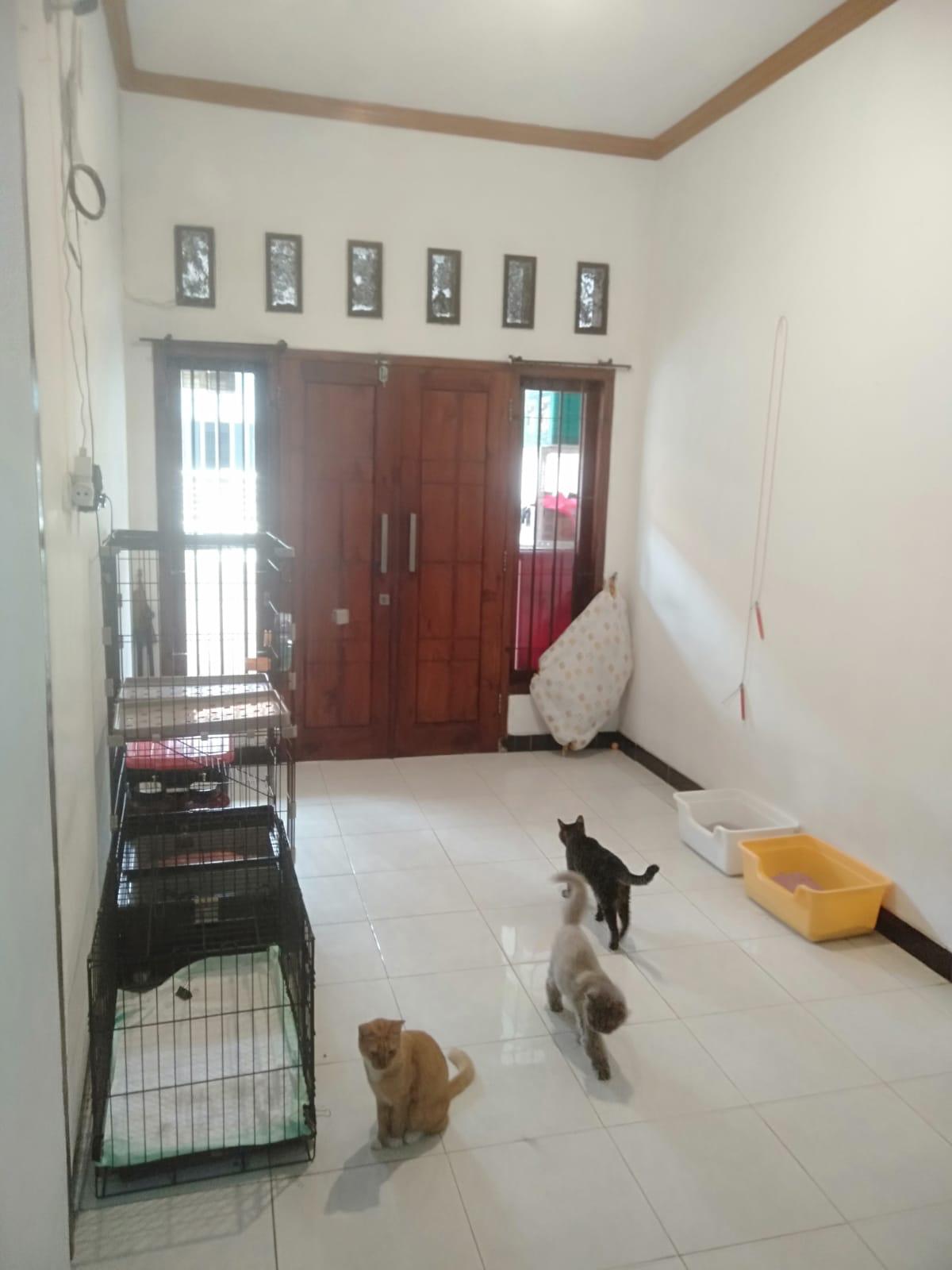 Dijual Rumah Siap Huni di Jambangan Surabaya Selatan - Thumbnail 2