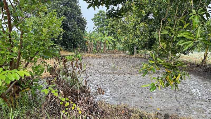 Dijual Gudang Penggilingan Padi Siap Pakai di Kawasan Desa Gintungan Kembangbahu Lamongan - Thumbnail 7