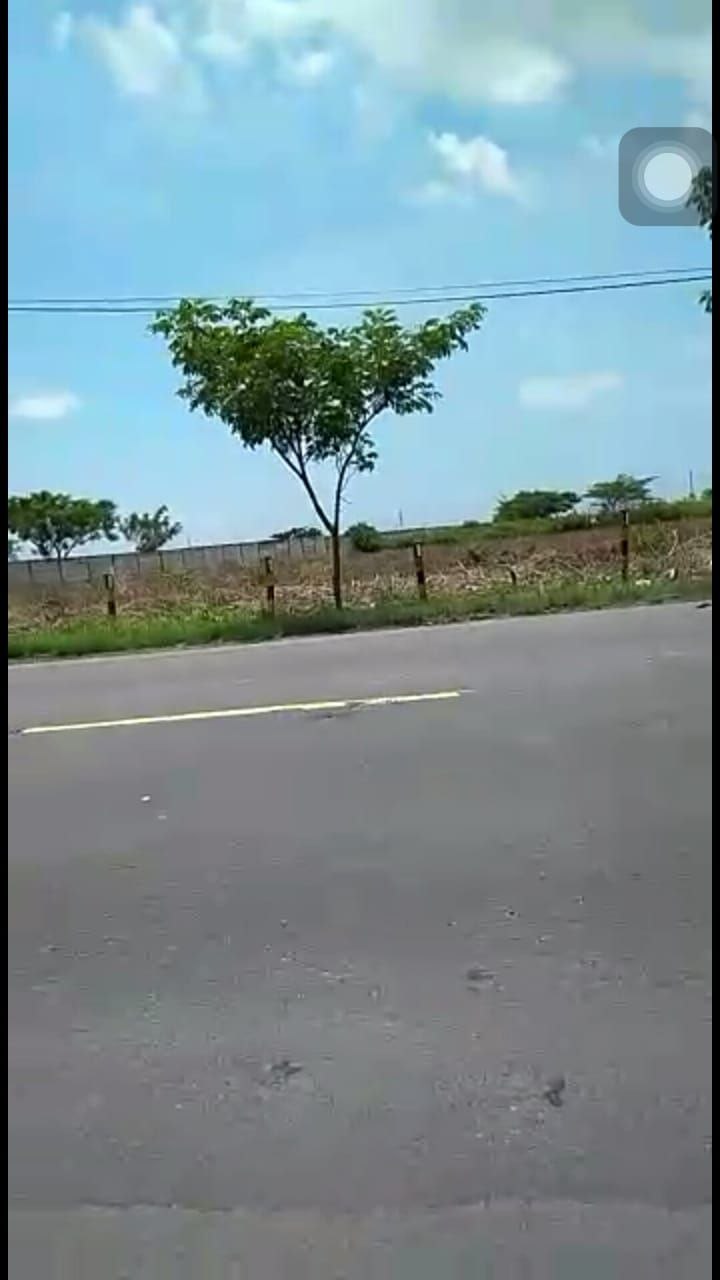 Dijual Tanah lokasi Strategis Widang Tuban