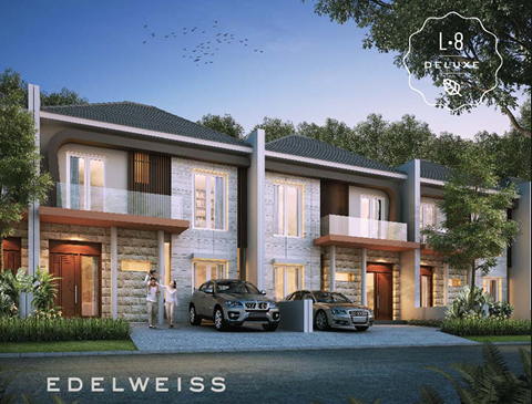 Edelweis - Gambar 1