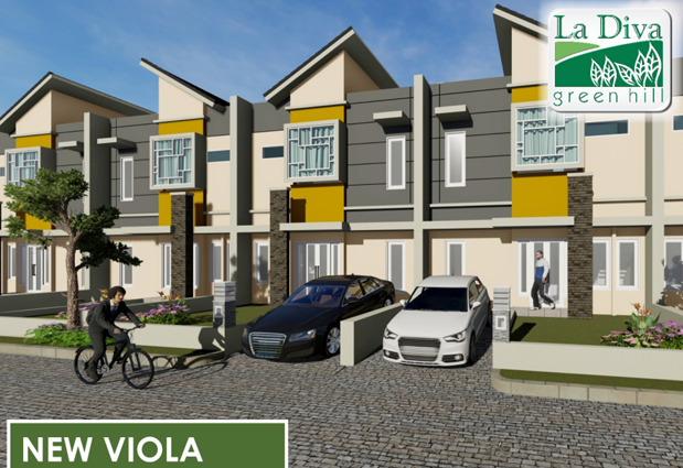 New Viola 1 - Gambar 1