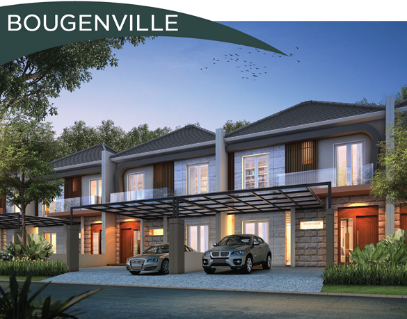 Bougenvile - Gambar 1